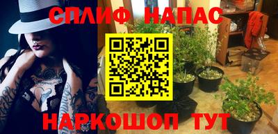 гидра Наро-Фоминск