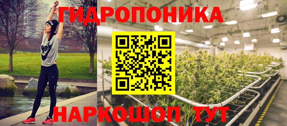 Бошки марихуана MAZAR Торжок